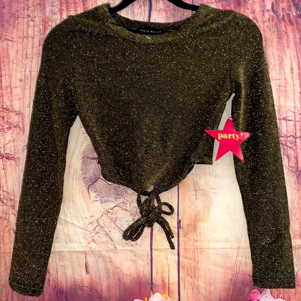Beautiful Brown Shiny Gold Haute Monde Party Crop Top